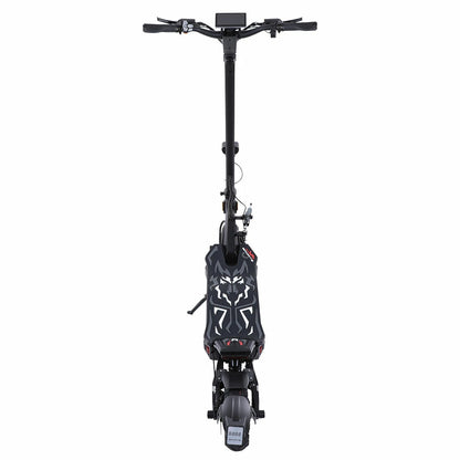 Freeboy H16 (EU) Electric Scooter