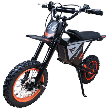 Freeboy Y66 (US) E-Bike