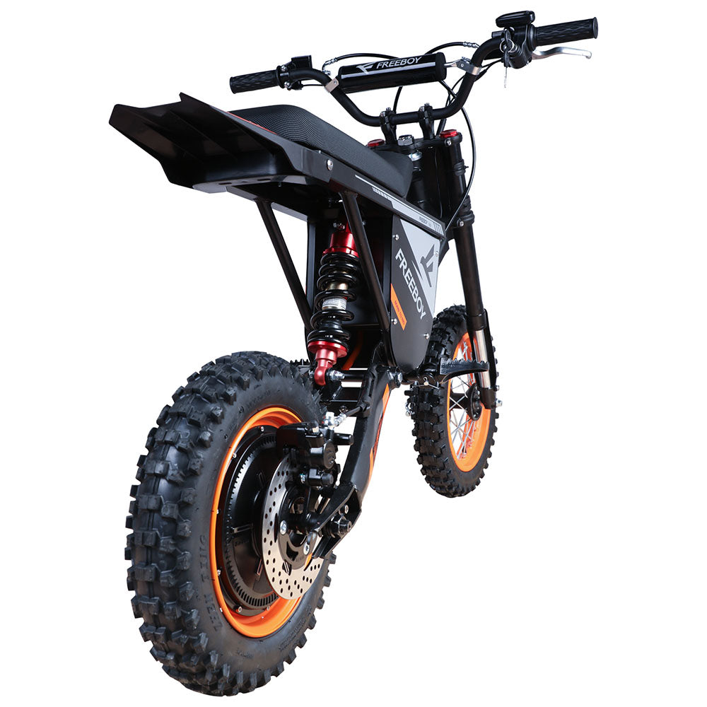 Freeboy Y66 (US) E-Bike