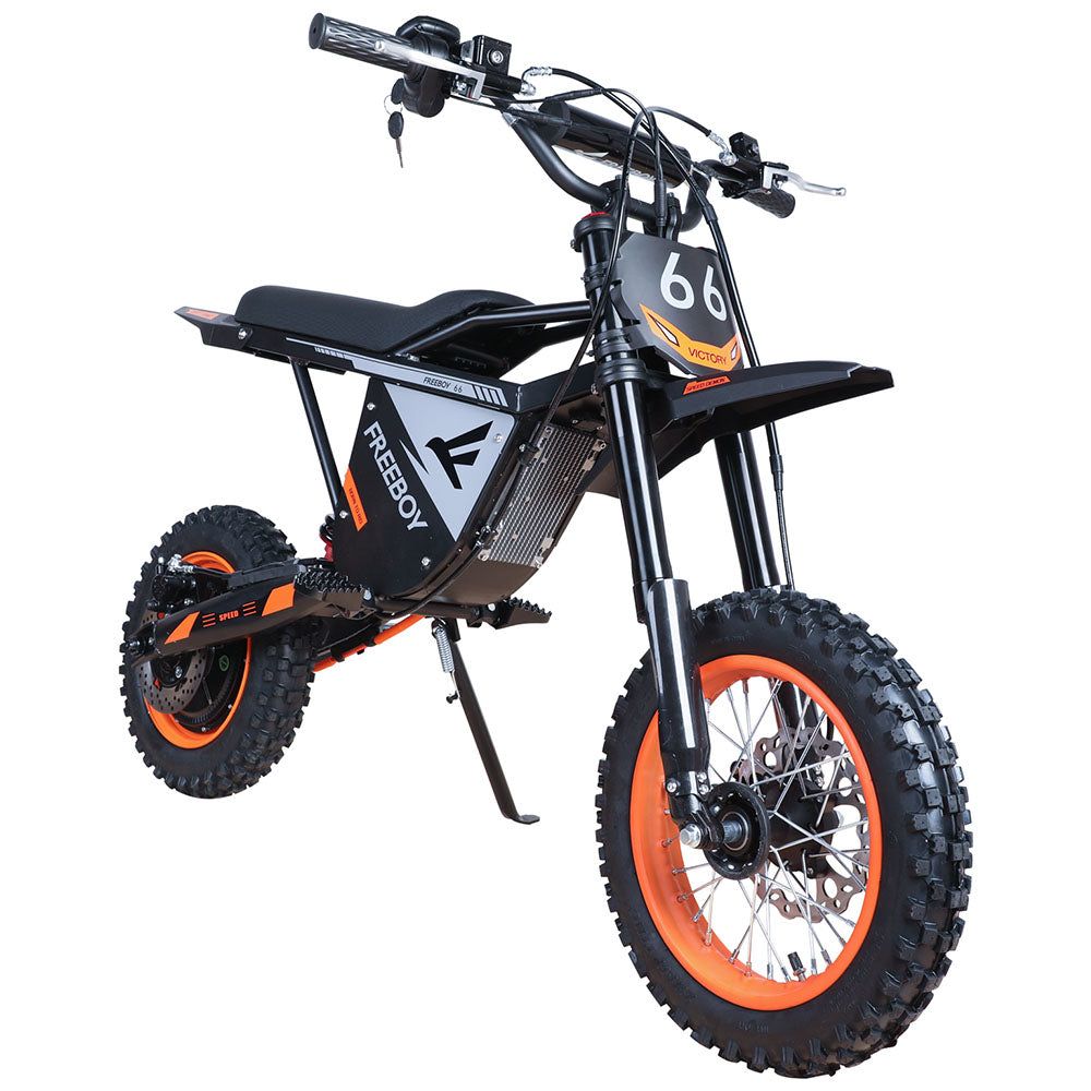 Freeboy Y66 (US) E-Bike
