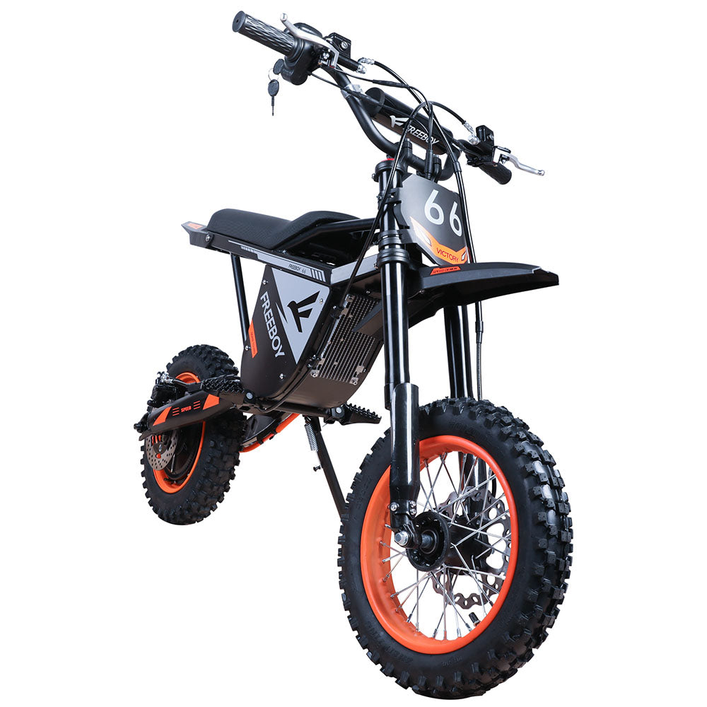 Freeboy Y66 (US) E-Bike