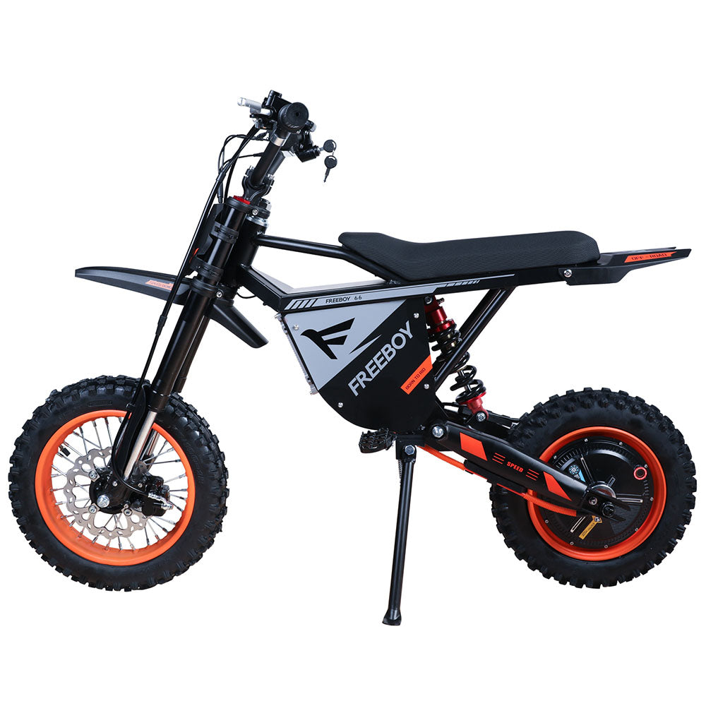 Freeboy Y66 (EU) Electric Motorcycle
