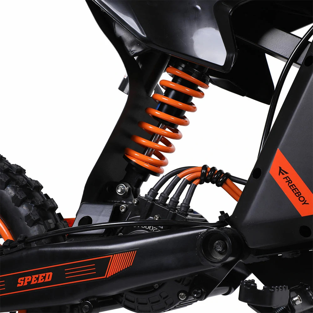 Freeboy Y88 (EU) E-Bike